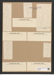 Diatomeae indet. Zeichnungen Sammlung Grunow Nr. 6582 (NHMW-BOT-W0375328)
